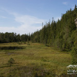 Herrliche Landschaft beim Klettern in Norwegen. Tikneppen, Trondheim