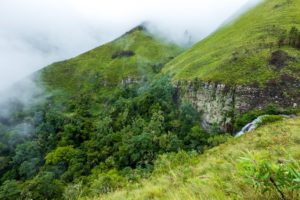 Trekking Natur Urwald