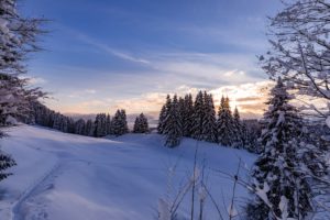 Aufstieg Bärenköpfle Gunzesrieder Tal