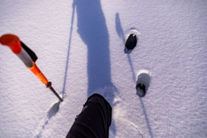 Komperdell Skistock Völkl VTA BMT 98