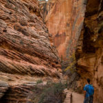 (Wanderung Zion National Park Observation Point)