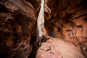 Durch Canyons zum Observation Point im Zion National Park