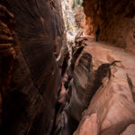 Wanderung Zion National Park Observation Point