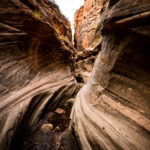 Wanderung Zion National Park Observation Point