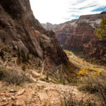 In Serpentinen führt die Wanderung zum Observation Point im Zion National Park