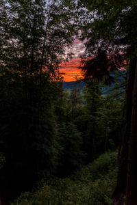Sonnenaufgang Wald Morgenrot